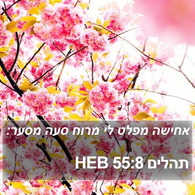 תהלים 55:8 HEB Bible Verse Image
