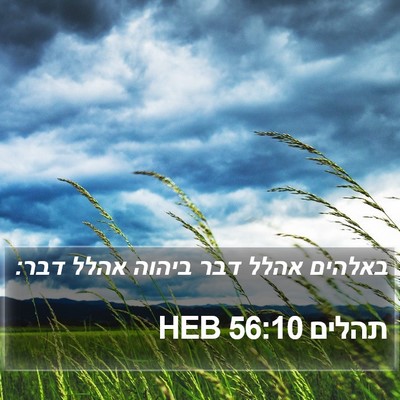 תהלים 56:10 HEB Bible Verse Image