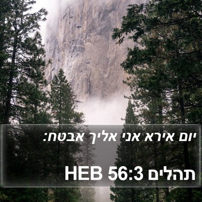 תהלים 56:3 HEB Bible Verse Image