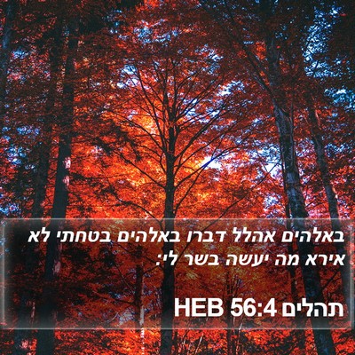 תהלים 56:4 HEB Bible Verse Image