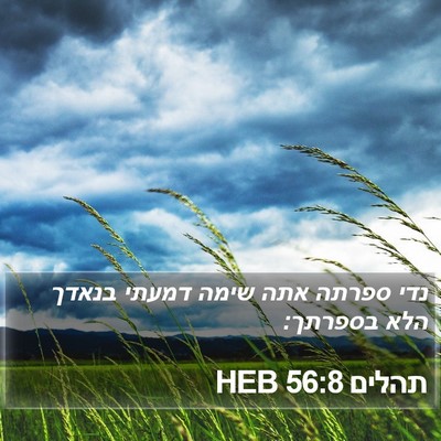 תהלים 56:8 HEB Bible Verse Image