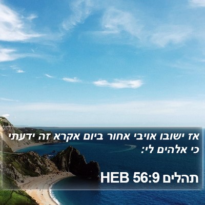 תהלים 56:9 HEB Bible Verse Image