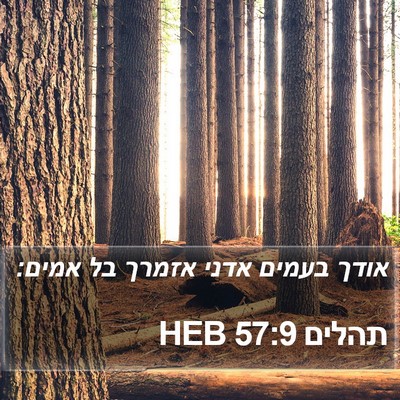 תהלים 57:9 HEB Bible Verse Image