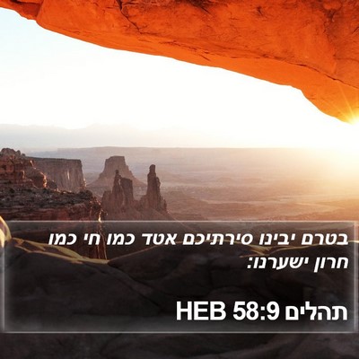 תהלים 58:9 HEB Bible Verse Image