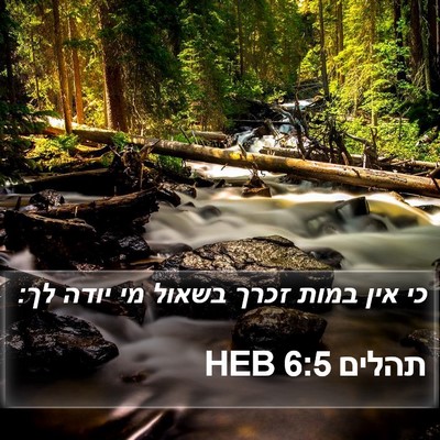 תהלים 6:5 HEB Bible Verse Image