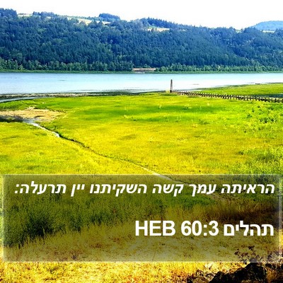 תהלים 60:3 HEB Bible Verse Image