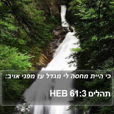 תהלים 61:3 HEB Bible Verse Image