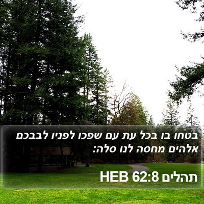 תהלים 62:8 HEB Bible Verse Image