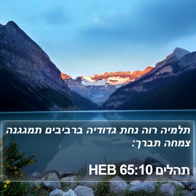 תהלים 65:10 HEB Bible Verse Image