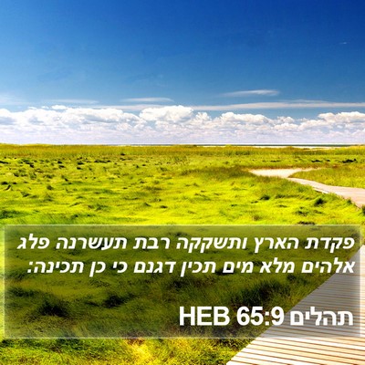 תהלים 65:9 HEB Bible Verse Image