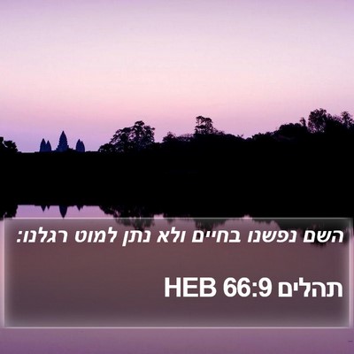 תהלים 66:9 HEB Bible Verse Image