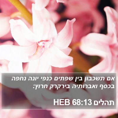 תהלים 68:13 HEB Bible Verse Image