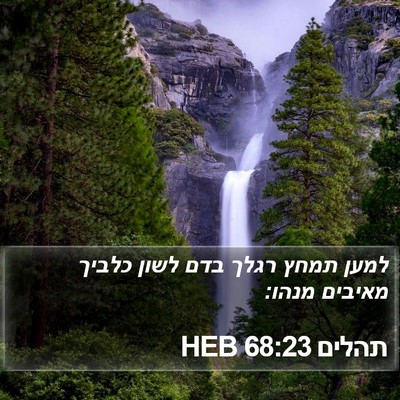תהלים 68:23 HEB Bible Verse Image