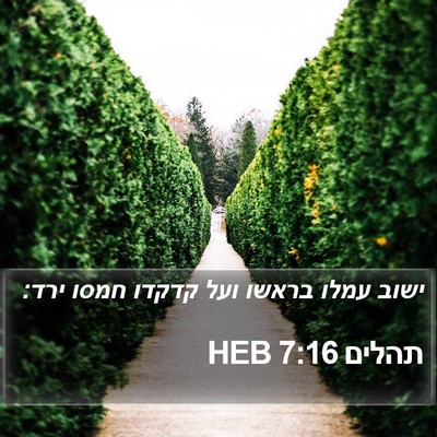 תהלים 7:16 HEB Bible Verse Image