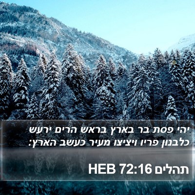 תהלים 72:16 HEB Bible Verse Image