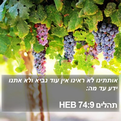 תהלים 74:9 HEB Bible Verse Image