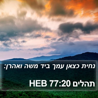 תהלים 77:20 HEB Bible Verse Image