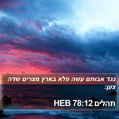 תהלים 78:12 HEB Bible Verse Image