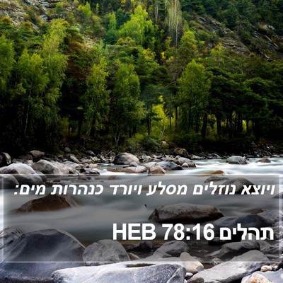 תהלים 78:16 HEB Bible Verse Image