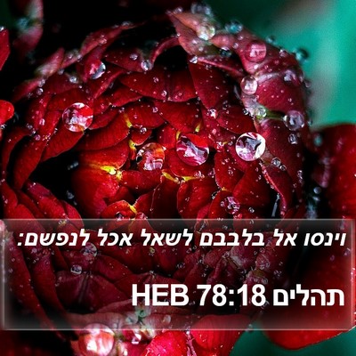 תהלים 78:18 HEB Bible Verse Image