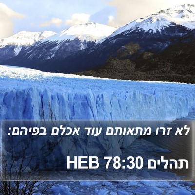 תהלים 78:30 HEB Bible Verse Image