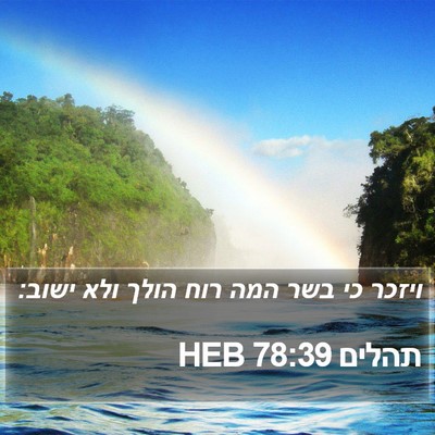 תהלים 78:39 HEB Bible Verse Image