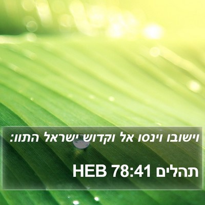 תהלים 78:41 HEB Bible Verse Image