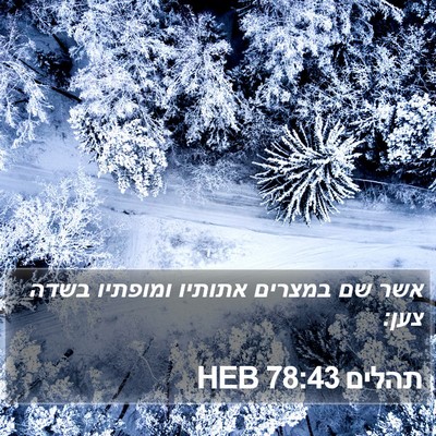 תהלים 78:43 HEB Bible Verse Image