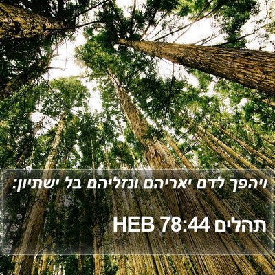 תהלים 78:44 HEB Bible Verse Image