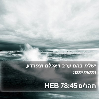 תהלים 78:45 HEB Bible Verse Image