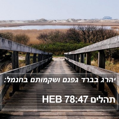 תהלים 78:47 HEB Bible Verse Image