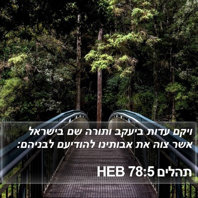תהלים 78:5 HEB Bible Verse Image
