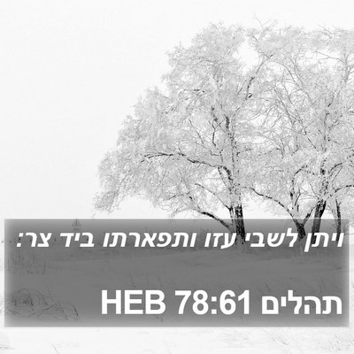 תהלים 78:61 HEB Bible Verse Image