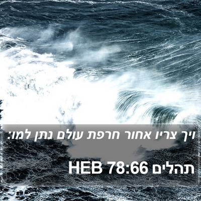 תהלים 78:66 HEB Bible Verse Image