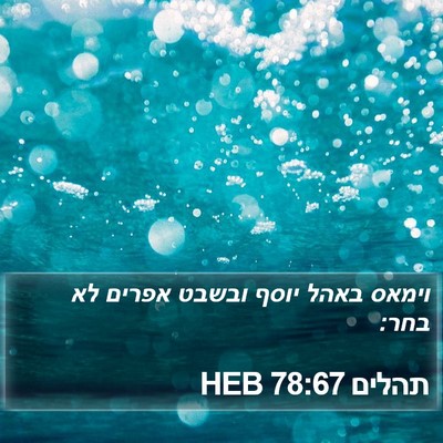 תהלים 78:67 HEB Bible Verse Image