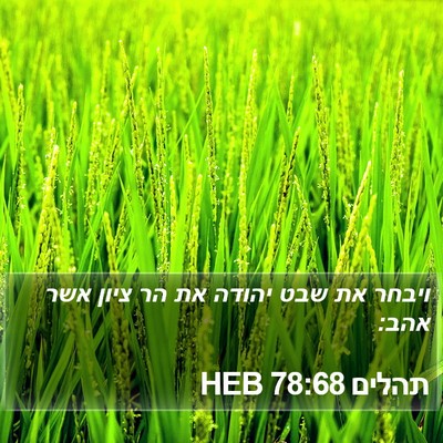 תהלים 78:68 HEB Bible Verse Image
