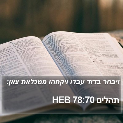 תהלים 78:70 HEB Bible Verse Image