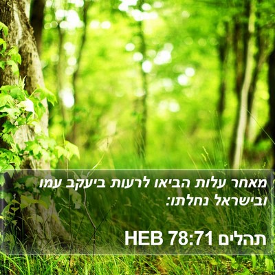 תהלים 78:71 HEB Bible Verse Image