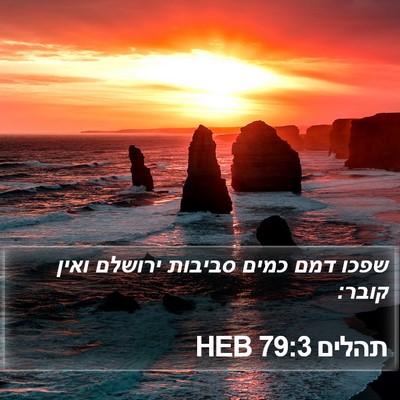 תהלים 79:3 HEB Bible Verse Image