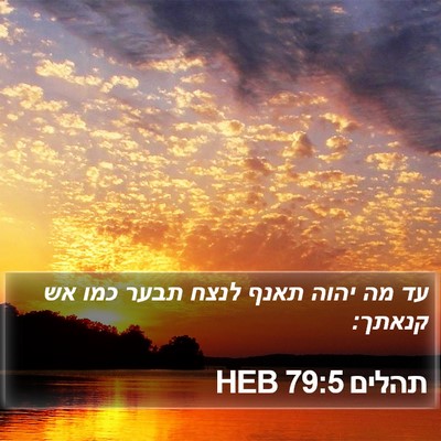 תהלים 79:5 HEB Bible Verse Image