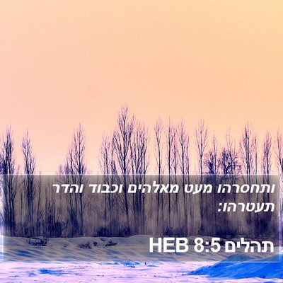 תהלים 8:5 HEB Bible Verse Image