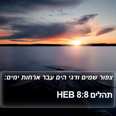 תהלים 8:8 HEB Bible Verse Image