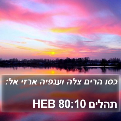 תהלים 80:10 HEB Bible Verse Image