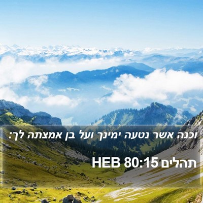 תהלים 80:15 HEB Bible Verse Image