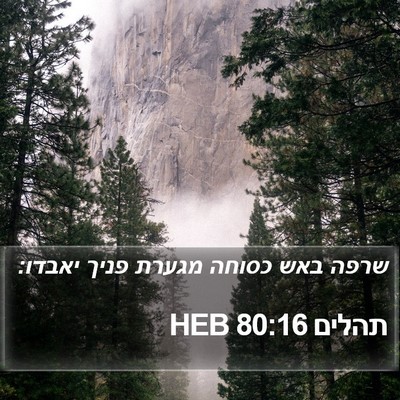 תהלים 80:16 HEB Bible Verse Image