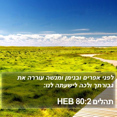 תהלים 80:2 HEB Bible Verse Image