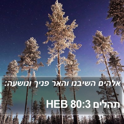 תהלים 80:3 HEB Bible Verse Image