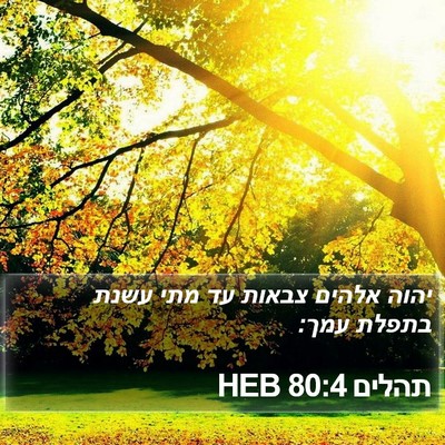 תהלים 80:4 HEB Bible Verse Image