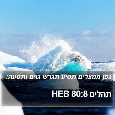 תהלים 80:8 HEB Bible Verse Image