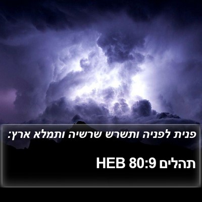 תהלים 80:9 HEB Bible Verse Image